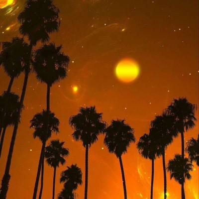 皇冠正规娱乐平台(官方)手机app下载截图